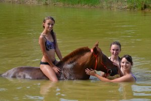 horse girls at pony club 2
