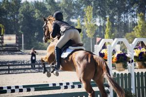 girls jumping horses