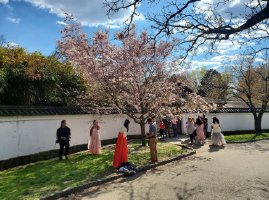 Philadelphia Japanese Park, USA. April 9,2023