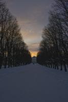Павловский парк зимой