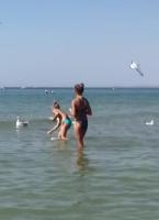 Feeding sea gulls