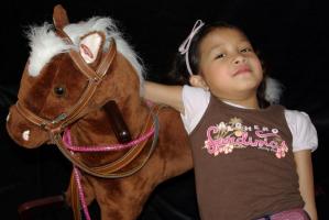 Philippine model - Horse